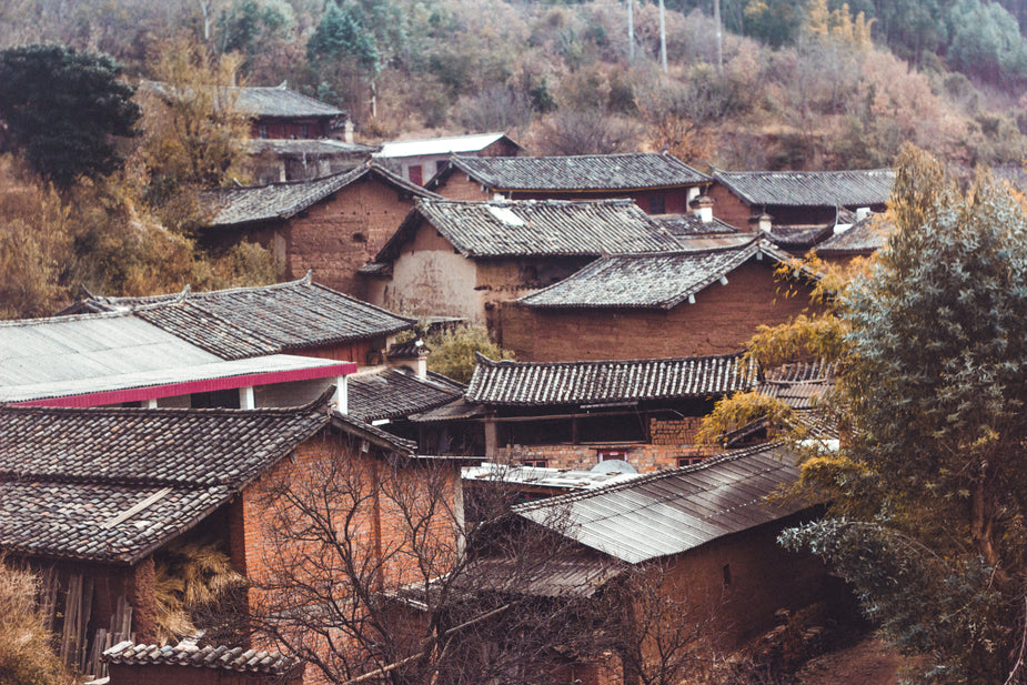 Traditional Cantonese village architecture breakfast culture