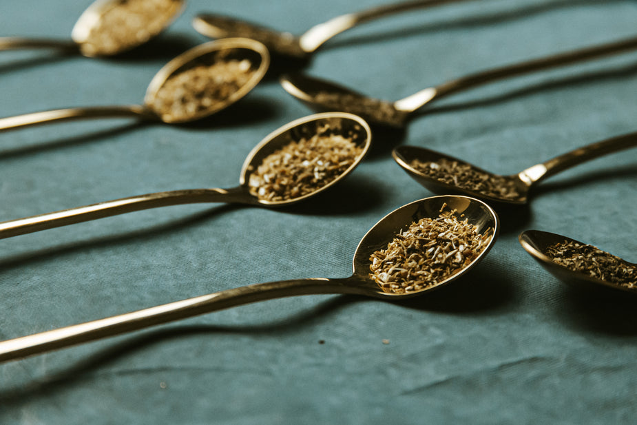 Traditional Chinese herbs and spices in metal spoons arranged on teal fabric