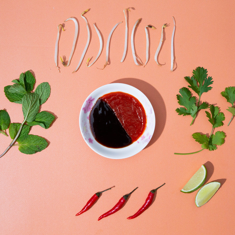 Sauce dish with hoisin sauce and artistic garnishes on backdrop with bean sprouts, lime, and chili peppers